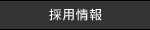 �̗p���y�[�W��